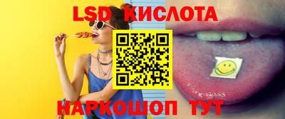 крисы Моздок