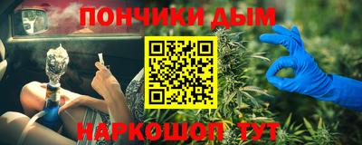 крисы Моздок
