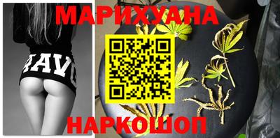 крисы Моздок