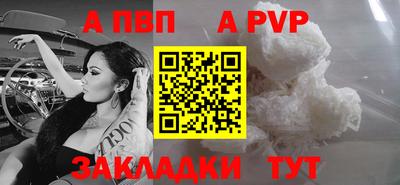 крисы Моздок