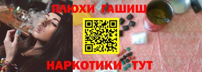 крисы Моздок