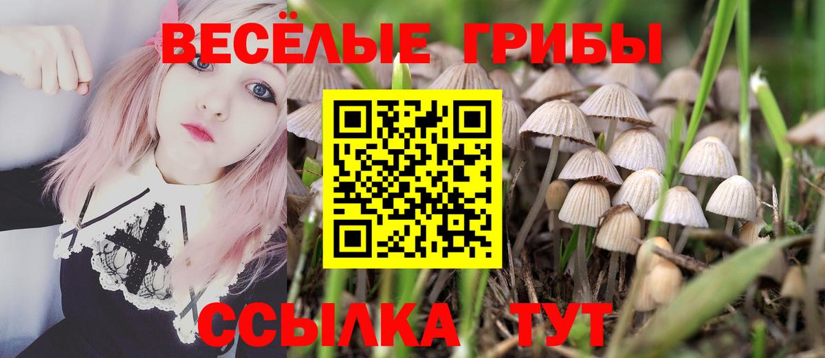 Псилоцибиновые грибы Psilocybine cubensis Южно-Сахалинск